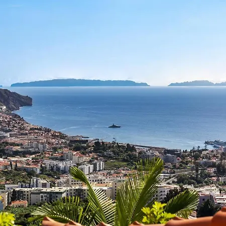 Rostrum By Funchal (Madeira)